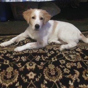 Meet your Posher, Jarrod